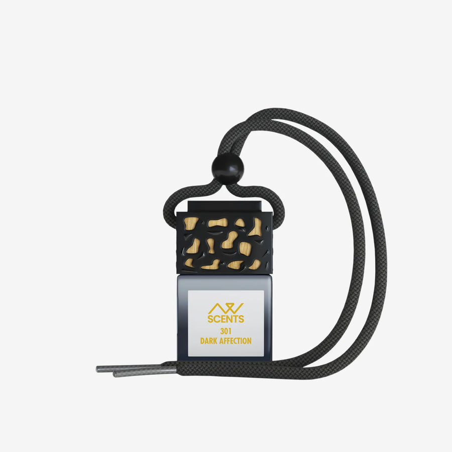 301 Dark Affection Car Diffuser