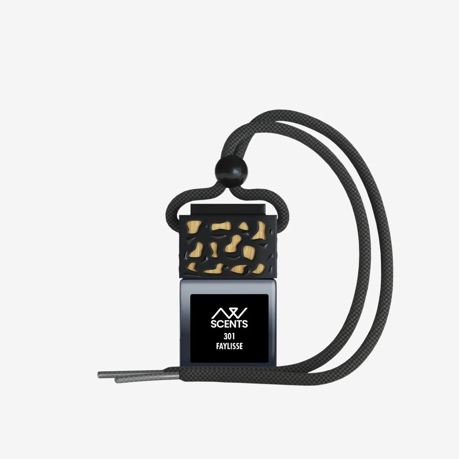 301 Faylisse Car Diffuser