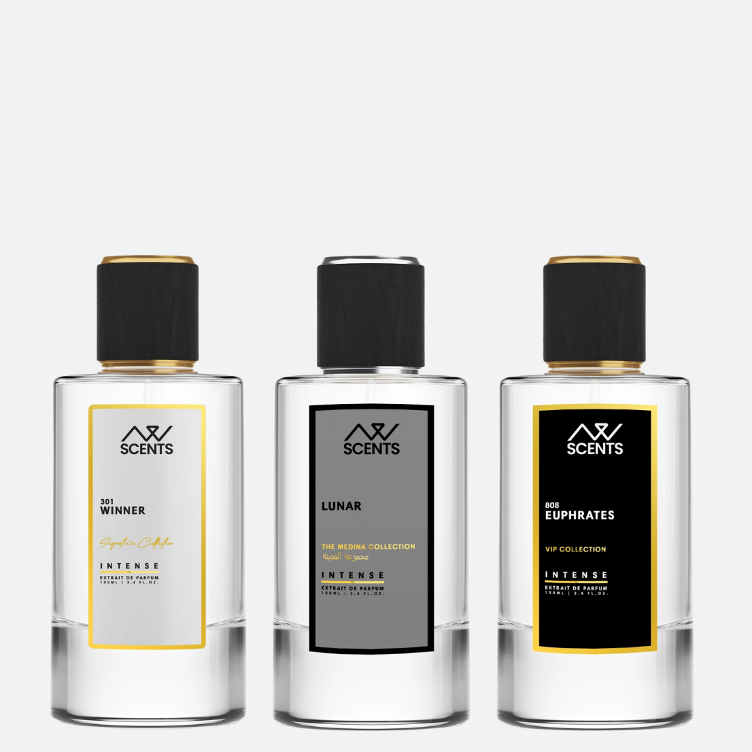100ml x3 Premium Perfume Set