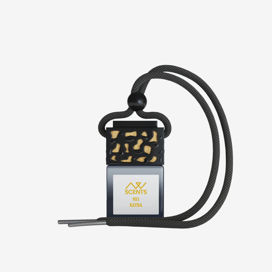 901 Kayra Car Diffuser